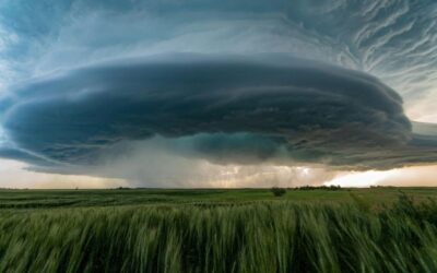 Give Peace a Chance: Spending Time in the Eye of the Storm