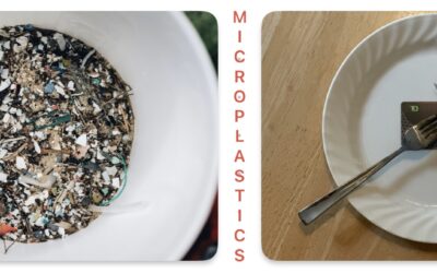 Microplastics