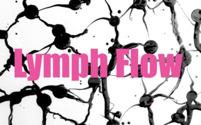 Fascia Lymph Flow